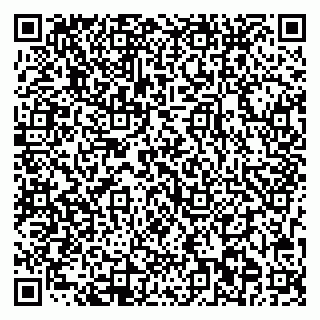 vCard 79703002539