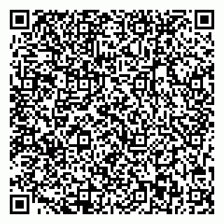 vCard 79703003809