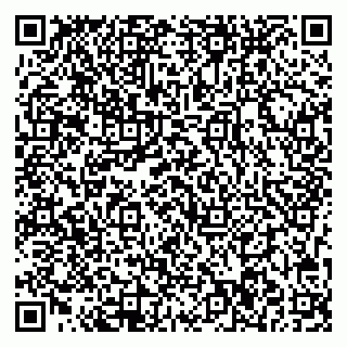 vCard 79703006133