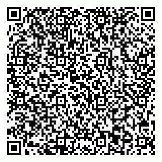 vCard 79713003739