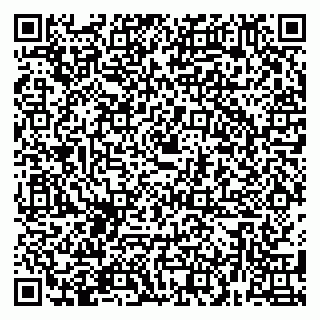 vCard 79780000294