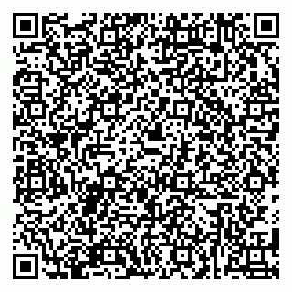 vCard 79780000331