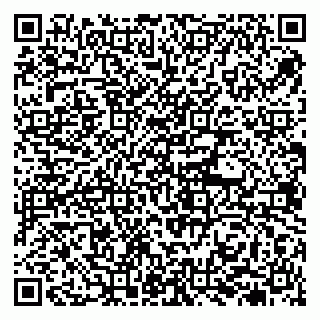vCard 79784079919