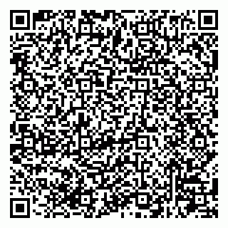 vCard 79784085387