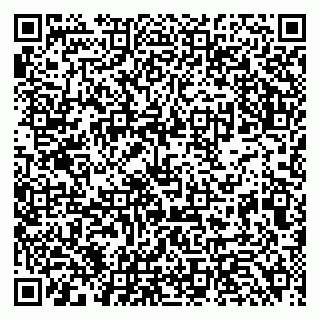 vCard 79784089331