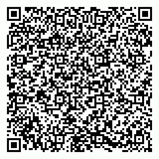 vCard 79787002001