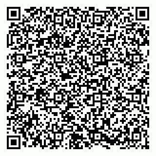 vCard 79787002131