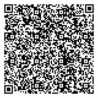 vCard 79803700037