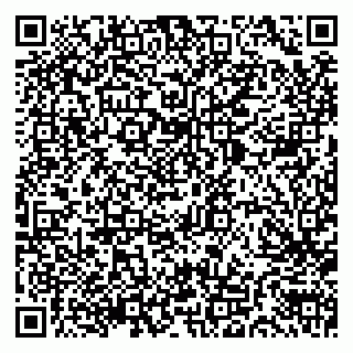 vCard 79803700062