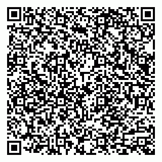 vCard 79803700217
