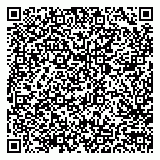 vCard 79803700321