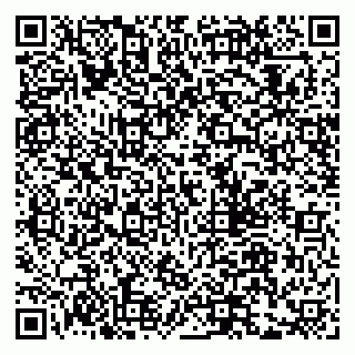 vCard 79803700424