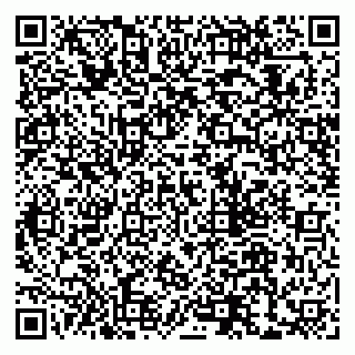 vCard 79803700477