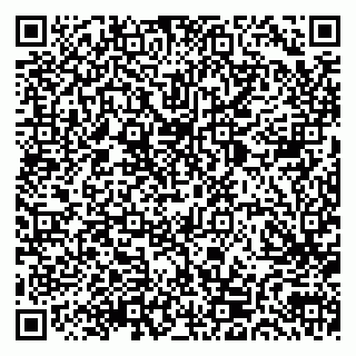 vCard 79803700508