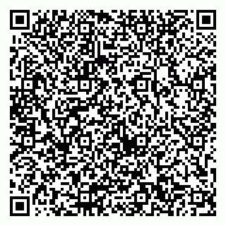 vCard 79803700522