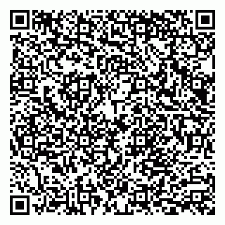 vCard 79803700589