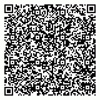 vCard 79803700654