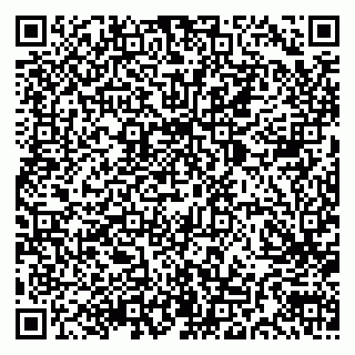 vCard 79803700687