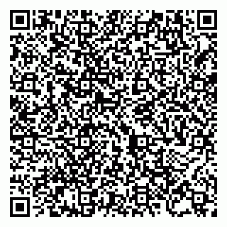 vCard 79805000173