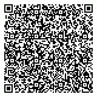 vCard 79806500384