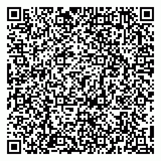 vCard 79813000380