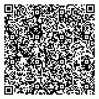 vCard 79813001039