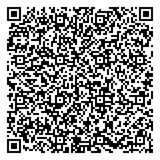 vCard 79813001739