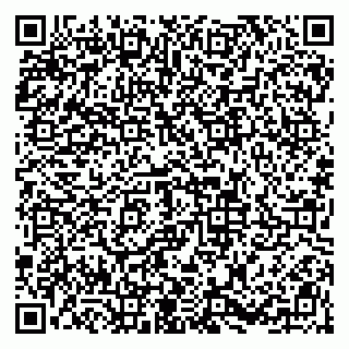 vCard 79813001839