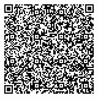 vCard 79813002539