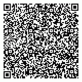 vCard 79813002639