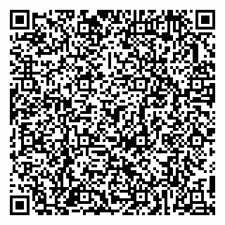 vCard 79813002739