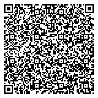 vCard 79813002839