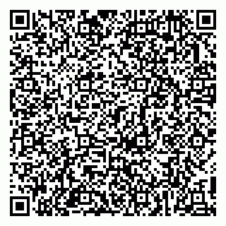 vCard 79813002939