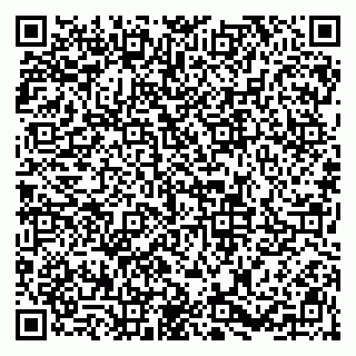 vCard 79813003039
