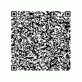 vCard 79816800385