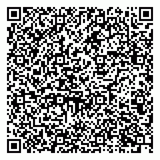 vCard 79821003738