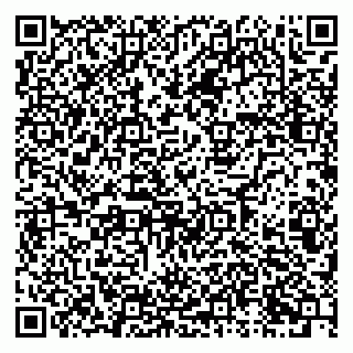 vCard 79821003938