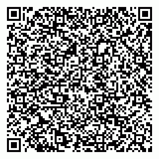 vCard 79822600131