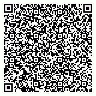 vCard 79822600173