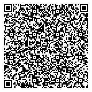 vCard 79822600221