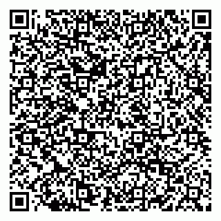 vCard 79822600296