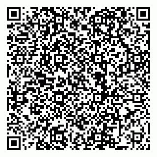 vCard 79822600297