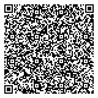 vCard 79822600311