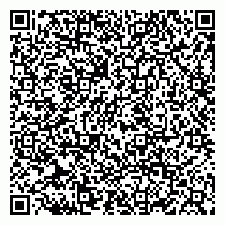 vCard 79822600319