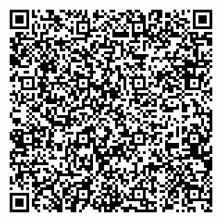 vCard 79822600331