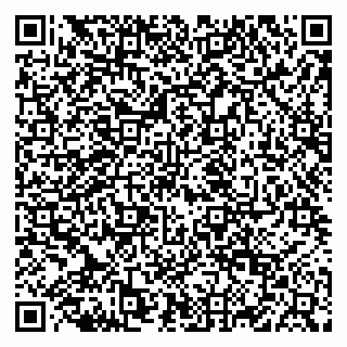 vCard 79822600333