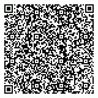 vCard 79822600380