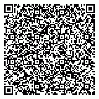 vCard 79822600381