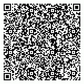 vCard 79822600385