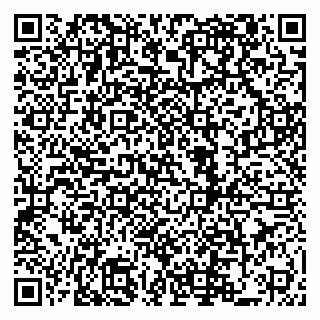 vCard 79822600387